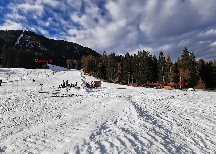 Moosstadel * Patriasdorf